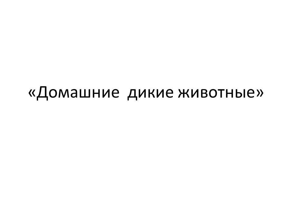 Домашние  дикие животные
